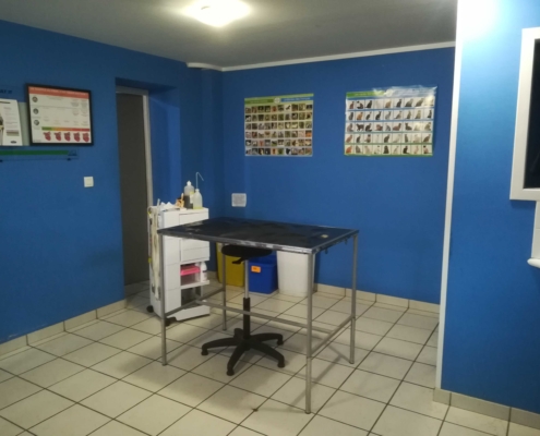 Salle de consultation clinique vétérinaire Laloubère Tarbes