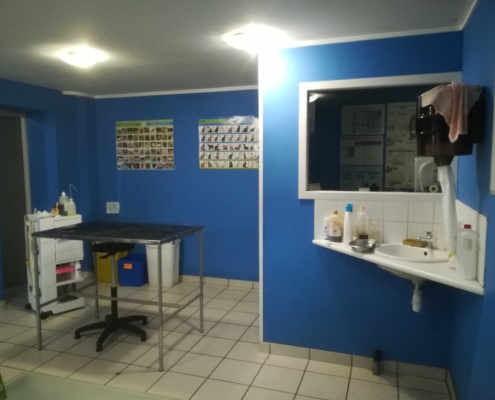 Salle de consultation clinique vétérinaire de l'aérodrome Laloubère Tarbes